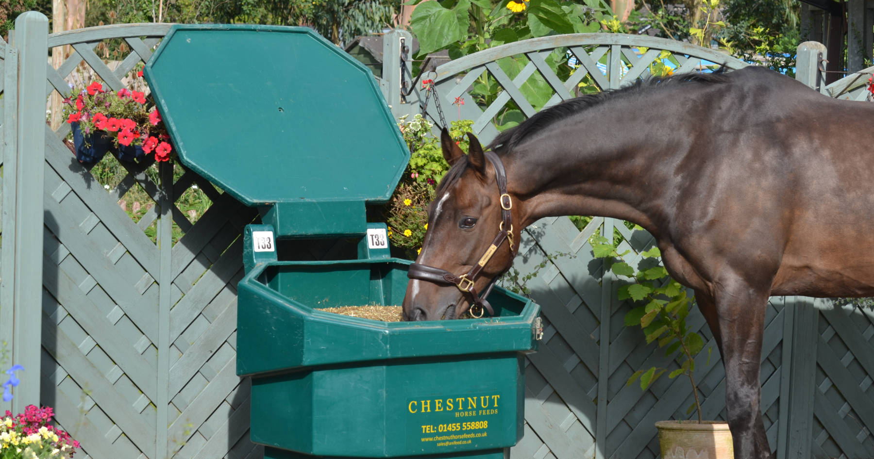 Chestnut Horse Feeds Natural Horse Feeds Bulk Bins AVailable